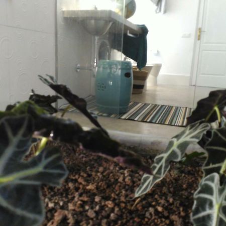 アガエテ Vilna House With Private Pool, Jacuzzi And Garden -Optional Pool And Jacuzzi Heatingヴィラ エクステリア 写真