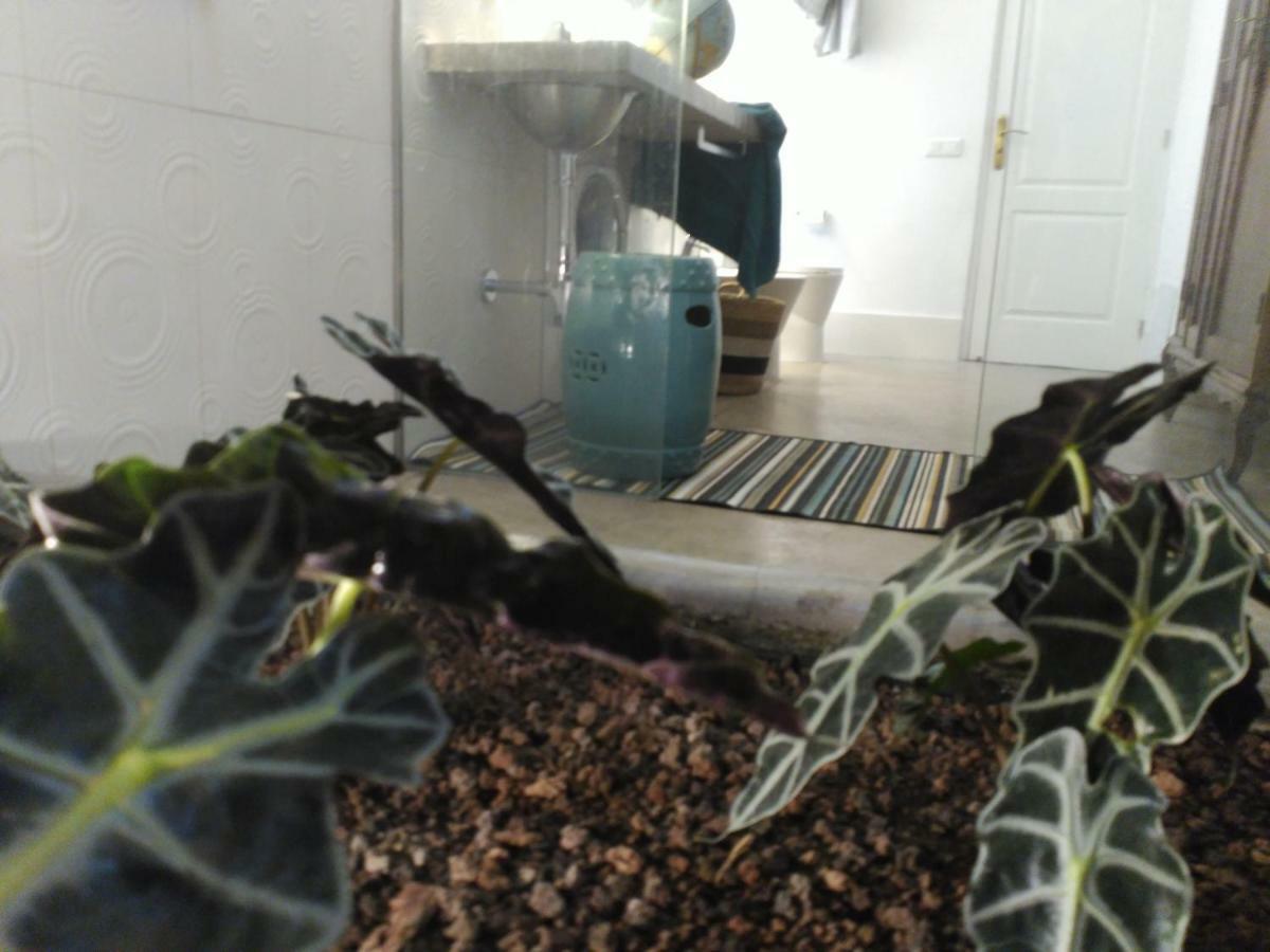 アガエテ Vilna House With Private Pool, Jacuzzi And Garden -Optional Pool And Jacuzzi Heatingヴィラ エクステリア 写真